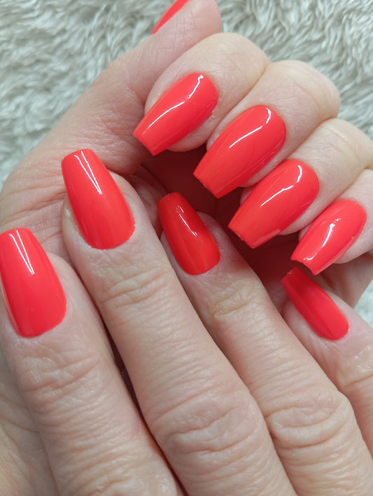 Coral Sunset