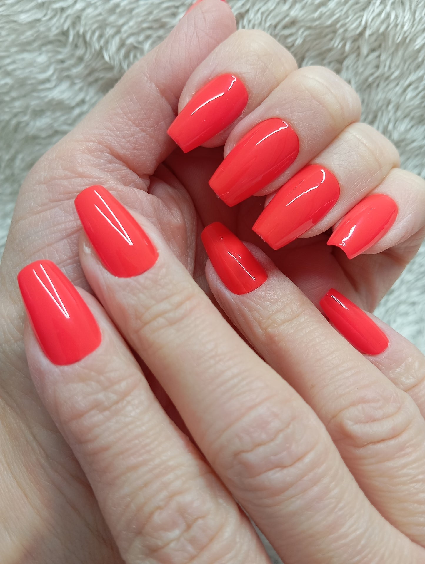 Coral Sunset