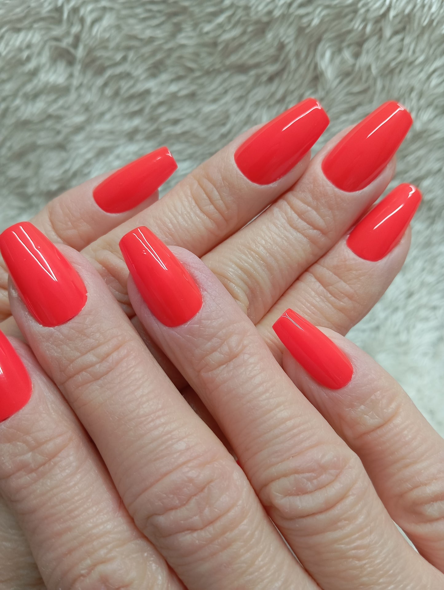 Coral Sunset